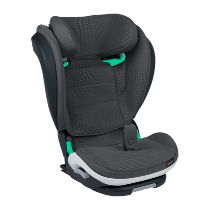 BeSafe Flex Fix 2